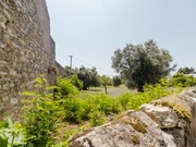 Terreno Rstico - Portunhos, Cantanhede, Coimbra - Miniatura: 7/9
