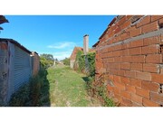 Terreno Rstico - Ouca, Vagos, Aveiro - Miniatura: 2/3