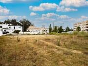 Terreno R�stico - Buarcos, Figueira da Foz, Coimbra - Miniatura: 5/9