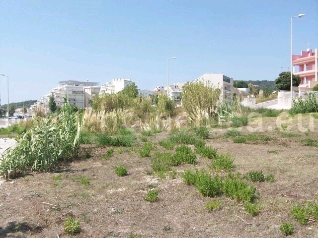 Terreno R�stico - Buarcos, Figueira da Foz, Coimbra - Imagem grande