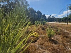 Terreno Rstico - Moinhos da Gndara, Figueira da Foz, Coimbra