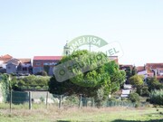 Terreno R�stico - Carapinheira, Montemor-o-Velho, Coimbra - Miniatura: 3/7