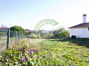 Terreno R�stico - Carapinheira, Montemor-o-Velho, Coimbra - Miniatura: 4/7
