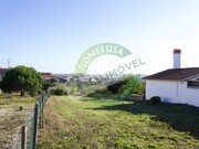 Terreno R�stico - Carapinheira, Montemor-o-Velho, Coimbra - Miniatura: 5/7