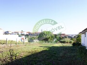 Terreno R�stico - Carapinheira, Montemor-o-Velho, Coimbra - Miniatura: 7/7