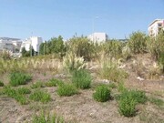 Terreno R�stico - Buarcos, Figueira da Foz, Coimbra - Miniatura: 2/3
