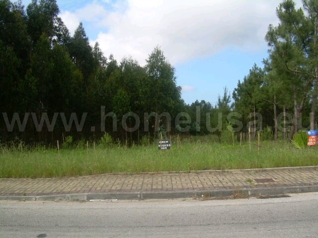 Terreno R�stico - Lavos, Figueira da Foz, Coimbra - Imagem grande