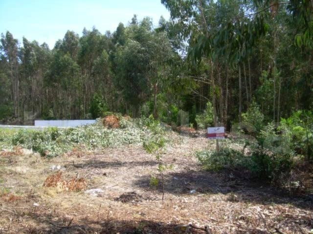 Terreno R�stico - Lavos, Figueira da Foz, Coimbra - Imagem grande