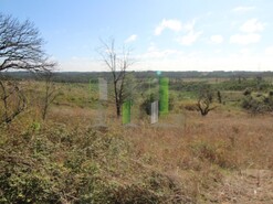 Terreno R�stico - Pai�o, Figueira da Foz, Coimbra