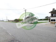 Terreno R�stico - Bom Sucesso, Figueira da Foz, Coimbra - Miniatura: 9/9