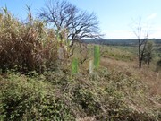 Terreno R�stico - Pai�o, Figueira da Foz, Coimbra - Miniatura: 1/9
