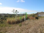 Terreno R�stico - Pai�o, Figueira da Foz, Coimbra - Miniatura: 7/9