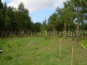 Terreno R�stico - Lavos, Figueira da Foz, Coimbra - Miniatura: 1/3