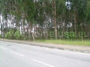 Terreno R�stico - Lavos, Figueira da Foz, Coimbra - Miniatura: 3/3