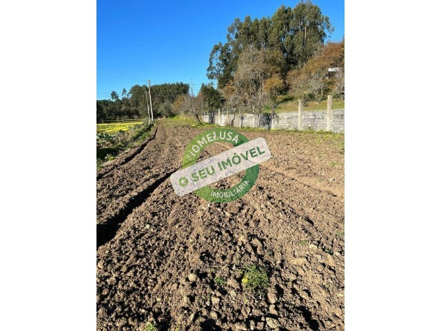 Terreno R�stico - Vila Verde, Figueira da Foz, Coimbra - Imagem grande