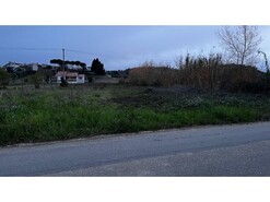 Terreno Rstico - Mealhada, Mealhada, Aveiro
