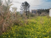 Terreno R�stico - Buarcos, Figueira da Foz, Coimbra - Miniatura: 3/9