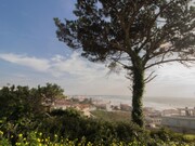 Terreno R�stico - Buarcos, Figueira da Foz, Coimbra - Miniatura: 9/9