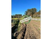 Terreno R�stico - Vila Verde, Figueira da Foz, Coimbra - Miniatura: 1/3