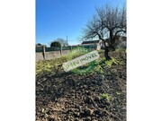 Terreno R�stico - Vila Verde, Figueira da Foz, Coimbra - Miniatura: 2/3