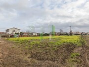 Terreno R�stico - Pai�o, Figueira da Foz, Coimbra - Miniatura: 4/9