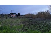 Terreno Rstico - Mealhada, Mealhada, Aveiro - Miniatura: 5/5
