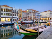 Terreno Rstico - Esgueira, Aveiro, Aveiro - Miniatura: 6/9