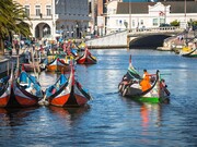 Terreno Rstico - Esgueira, Aveiro, Aveiro - Miniatura: 7/9