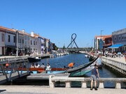 Terreno Rstico - Esgueira, Aveiro, Aveiro - Miniatura: 8/9