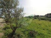 Terreno R�stico - Montemor-o-Velho, Montemor-o-Velho, Coimbra - Miniatura: 7/9