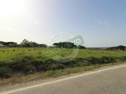 Terreno R�stico - Montemor-o-Velho, Montemor-o-Velho, Coimbra - Miniatura: 8/9