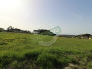 Terreno R�stico - Montemor-o-Velho, Montemor-o-Velho, Coimbra - Miniatura: 9/9