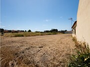 Terreno R�stico - Vilamar, Cantanhede, Coimbra - Miniatura: 3/9