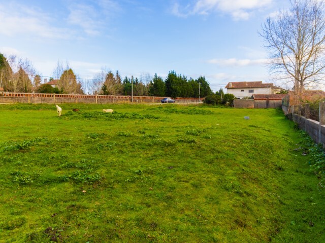 Terreno R�stico - Arazede, Montemor-o-Velho, Coimbra - Imagem grande