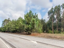 Terreno R�stico - Marinha das Ondas, Figueira da Foz, Coimbra