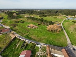 Terreno R�stico - Tocha, Cantanhede, Coimbra