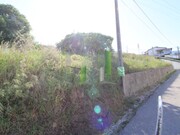 Terreno R�stico - Tavarede, Figueira da Foz, Coimbra - Miniatura: 2/9