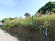Terreno R�stico - Tavarede, Figueira da Foz, Coimbra - Miniatura: 6/9