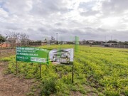 Terreno R�stico - Pai�o, Figueira da Foz, Coimbra - Miniatura: 2/9