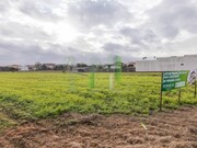 Terreno R�stico - Pai�o, Figueira da Foz, Coimbra - Miniatura: 4/9