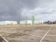 Terreno R�stico - Pai�o, Figueira da Foz, Coimbra - Miniatura: 8/9