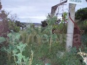 Terreno R�stico - Vila Verde, Figueira da Foz, Coimbra - Miniatura: 2/3
