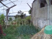 Terreno R�stico - Vila Verde, Figueira da Foz, Coimbra - Miniatura: 3/3