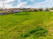 Terreno R�stico - Arazede, Montemor-o-Velho, Coimbra - Miniatura: 2/9