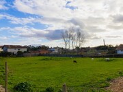 Terreno R�stico - Arazede, Montemor-o-Velho, Coimbra - Miniatura: 3/9