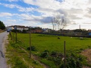 Terreno R�stico - Arazede, Montemor-o-Velho, Coimbra - Miniatura: 4/9