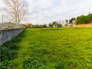 Terreno R�stico - Arazede, Montemor-o-Velho, Coimbra - Miniatura: 5/9