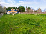 Terreno R�stico - Arazede, Montemor-o-Velho, Coimbra - Miniatura: 6/9