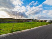 Terreno R�stico - Arazede, Montemor-o-Velho, Coimbra - Miniatura: 9/9