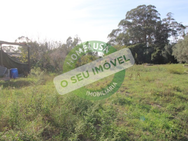 Terreno R�stico - Pai�o, Figueira da Foz, Coimbra - Imagem grande